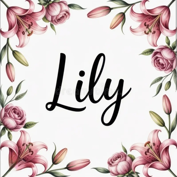 Lily Pad Closet WELCOME - Picture 1 of 4